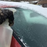 A Simple Hack To Prevent An Icy Windshield.