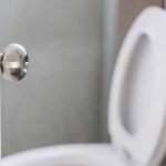 Why You Should Always Put The Lid Down Before You Flush The Toilet