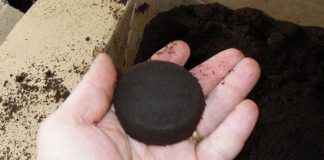 12 Ways To Reuse Used Coffee Grounds