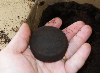12 Ways To Reuse Used Coffee Grounds