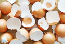7 Reasons To Keep Used Eggshells