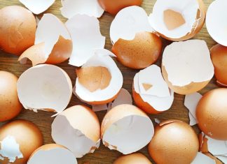 7 Reasons To Keep Used Eggshells