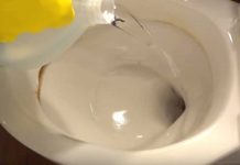 How To Remove Hard Water Stains From A Toilet Bowl