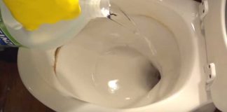 How To Remove Hard Water Stains From A Toilet Bowl