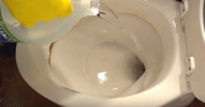 How To Remove Hard Water Stains From A Toilet Bowl - Cleaning & Household 2024 | PopcornTime