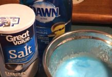 Get Rid Of Your Pet’s Fleas With Dawn Dish Soap And Table Salt