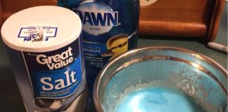 Get Rid Of Your Pet’s Fleas With Dawn Dish Soap And Table Salt