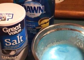 Get Rid Of Your Pet’s Fleas With Dawn Dish Soap And Table Salt