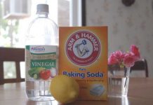 The Most Effective Way To Get Rid Of Urine Odors