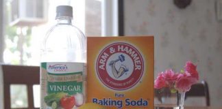 The Most Effective Way To Get Rid Of Urine Odors