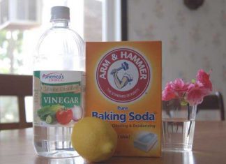 The Most Effective Way To Get Rid Of Urine Odors