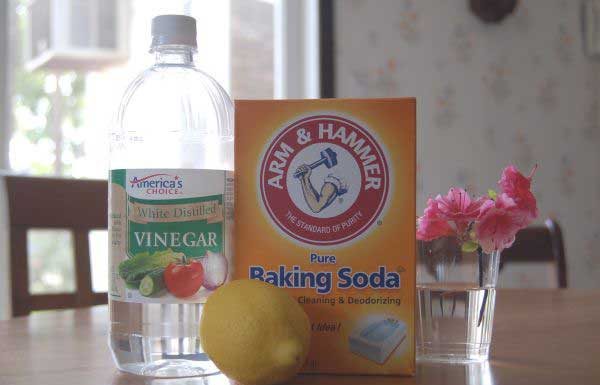 The Most Effective Way To Get Rid Of Urine Odors