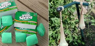 7 Ways To Use Irish Spring Soap That Have Nothing To Do With Lathering Up