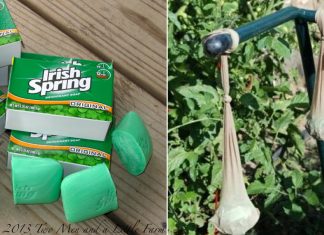 7 Ways To Use Irish Spring Soap That Have Nothing To Do With Lathering Up