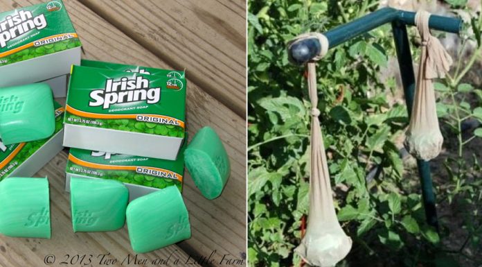 7 Ways To Use Irish Spring Soap That Have Nothing To Do With Lathering Up