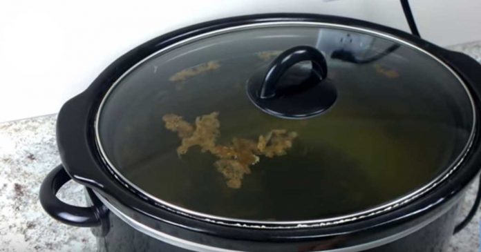 How To Get Your Slow Cooker To Clean Itself - Cleaning & Household 2024 | PopcornTime
