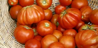 How To Store Your Tomatoes To Stay As Fresh As Possible