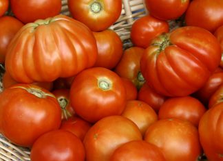 How To Store Your Tomatoes To Stay As Fresh As Possible