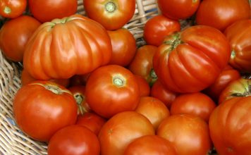 How To Store Your Tomatoes To Stay As Fresh As Possible