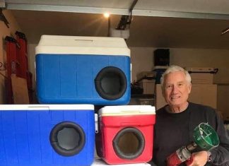 This man is recycling old picnic coolers into shelters for stray cats for winter, and here’s how to make them!