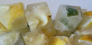 DIY Garbage Disposal Tablets