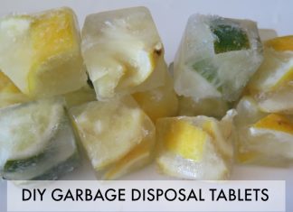DIY Garbage Disposal Tablets