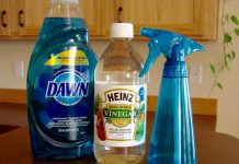 DIY Glass Cleaner Recipe – Even Better Than Windex!