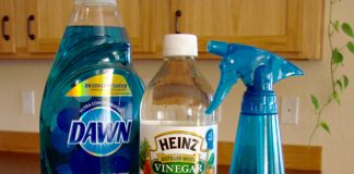 DIY Glass Cleaner Recipe – Even Better Than Windex!