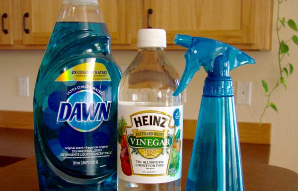 DIY Glass Cleaner Recipe – Even Better Than Windex!