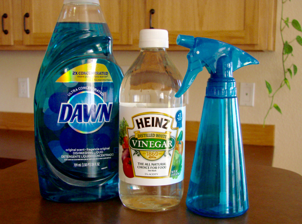 best homemade glass cleaner