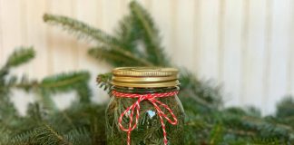 Hoemade Evegreen Scented Vinegar For Cleaning