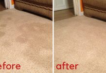 These Two Dollar Store Ingredients Will Transform Your Carpets!