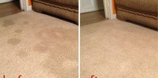 These Two Dollar Store Ingredients Will Transform Your Carpets!
