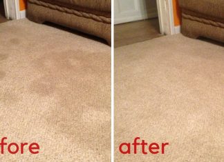 These Two Dollar Store Ingredients Will Transform Your Carpets!