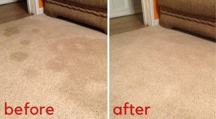 These Two Dollar Store Ingredients Will Transform Your Carpets!