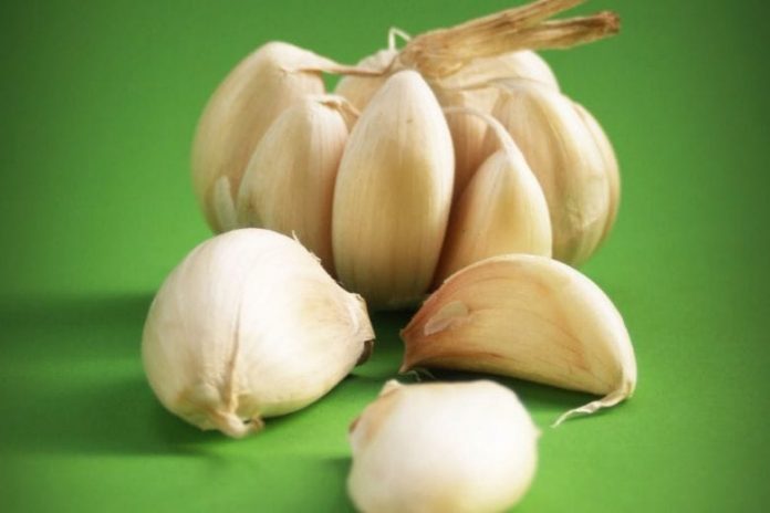 6 Reasons Why Garlic Is The Best For Your Health - Health 2024 | PopcornTime