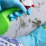 4 Ways To Get Rid Of Mold Without Needing A Professional