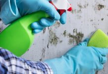 4 Ways To Get Rid Of Mold Without Needing A Professional