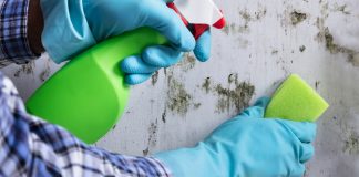 4 Ways To Get Rid Of Mold Without Needing A Professional
