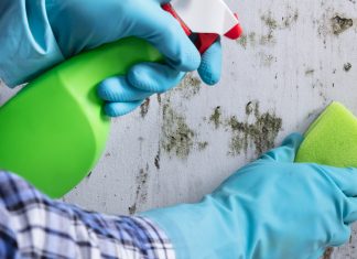 4 Ways To Get Rid Of Mold Without Needing A Professional