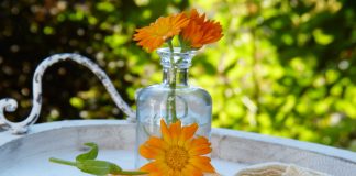 30 Uses And Benefits Of Calendula.