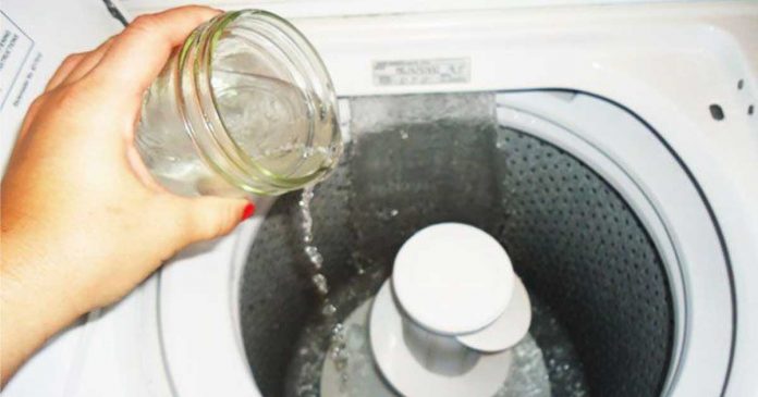 Get Cleaner Clothes By Using Vinegar While Saving A Ton Of Money - Cleaning & Household 2024 | PopcornTime