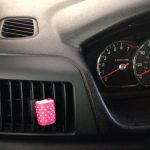 22-DIY-Car-Freshener-Ideas-21