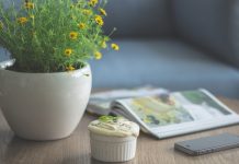 11 Easy Breezy Ways To Make Your Whole Home Smell Nice!