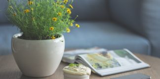 11 Easy Breezy Ways To Make Your Whole Home Smell Nice!