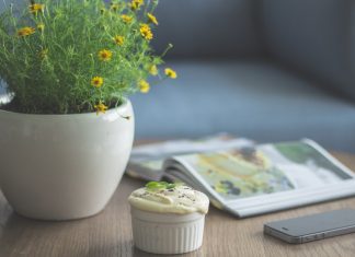 11 Easy Breezy Ways To Make Your Whole Home Smell Nice!