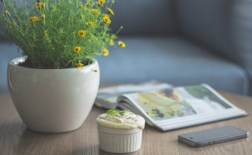 11 Easy Breezy Ways To Make Your Whole Home Smell Nice!