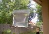 The Easiest Way To Keep Flies Away