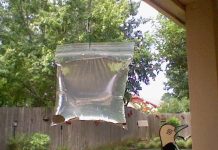 The Easiest Way To Keep Flies Away
