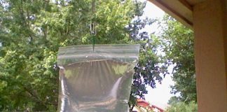 The Easiest Way To Keep Flies Away